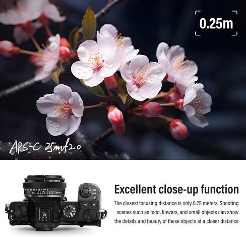 TTArtisan 25mm F2 XF-Mount APS-C Pancake Lens,Wide-Angle MF Large Aperture Mirrorless Lenses for Fujifilm (X-T30, X100VI, X-M5, X-E5, X-T5) for Daily Photography in Kuwait
