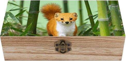 Yellowthroated Marten Bamboo Wooden Storage Box with Hinged Lid for Photo | Wood Keepsake Box, Dustproof Storage Box, Decorative Treasure Chest, Memory Box for Crafts Coins Stamps Letters Jewelry in Kuwait