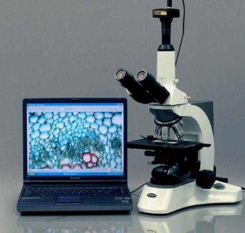 AmScope MU500-CK 5.0 MP USB Microscope Camera with Software and Calibration Kit, Compatible with Windows XP/Vista/7/8/10 and Mac OSX | 5.0MP CMOS Sensor USB 2.0 Connectivity in Kuwait