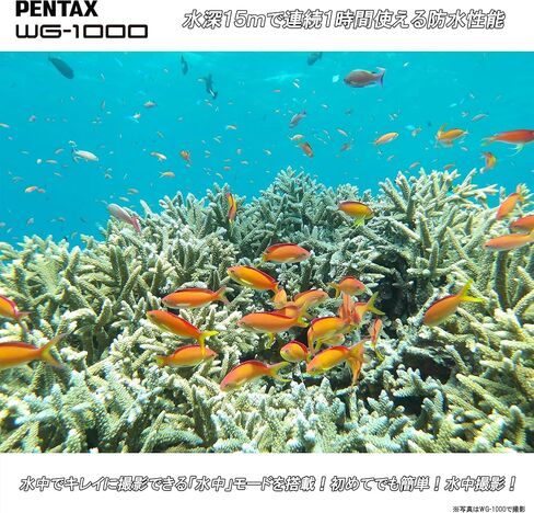 PENTAX WG-1000 Gray Waterproof Digital Compact Camera (Gray) in Kuwait