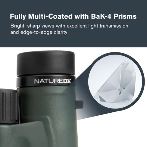 Celestron Nature DX 10x32 Waterproof Birding Binoculars | 32mm Objective Lenses, 10x Magnification, Wide 7.4° Field of View, Phase-Coated BaK-4 Prisms, Fogproof Construction in Kuwait