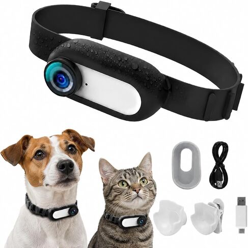 1080P HD Cat Collar Camera, Mini Pet Body Video Cam Support Recording, No WiFi Indoor Outdoor Small Sports Camera, Practical Pet Supplies Gift for Dog Moms Cat Dads Pet Owners in Kuwait