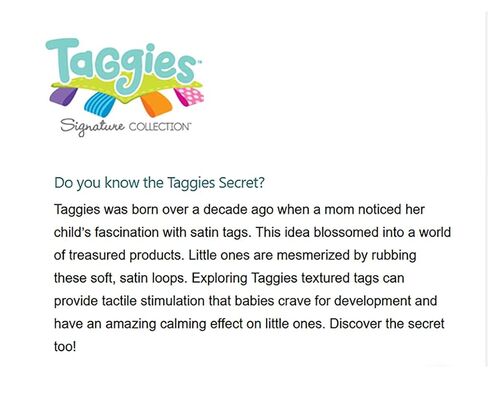 Taggies Taggies Heather Hedgehog Character Blanket in Kuwait