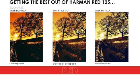 Harman RED ISO 125 35mm 36 Exposure Roll in Kuwait