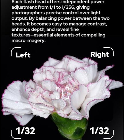 Godox MF-T76 S MF-T76S TTL Macro Twin Flash for Sony, 76Ws Macro Speedlight, HSS, 1.2s Recycle Time, 550 Full Power Flash, GN22.4, 2.4G Wireless, Flash for Dental, Insects, Flowers Photography in Kuwait