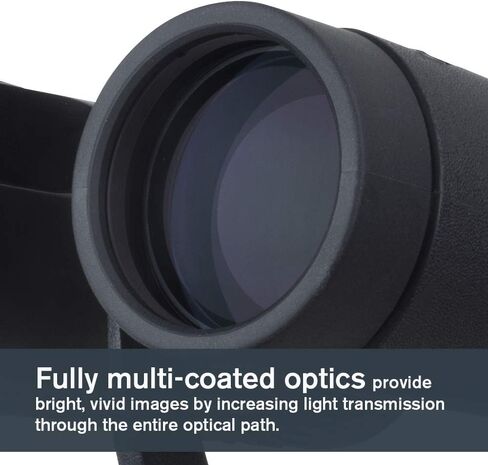 Celestron TrailSeeker 8x42 Premium Phase & Dielectric Coated Binoculars | High-Contrast Views, Fully Broadband Multi-Coated Optics, Lightweight Magnesium Body, Twist-Up Eyecups, 6.5 ft Close Focus in Kuwait