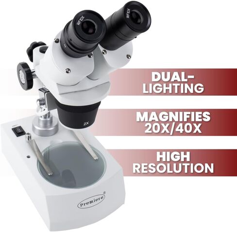 Binocular Stereo Microscope, WF10x Eyepieces, 20X/40X Magnification, 2X and 4X Objectives, Upper and Lower LED Lighting in Kuwait