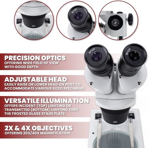 Binocular Stereo Microscope, WF10x Eyepieces, 20X/40X Magnification, 2X and 4X Objectives, Upper and Lower LED Lighting in Kuwait