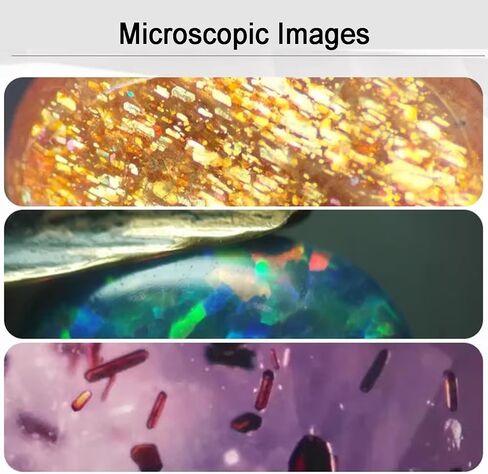 Stereo Binocular Microscope, Gem Testing Zoom, 20/40X Magnification, with WF10x/20mm Eyepieces, Upper/Lower Lighting, Includes Darkfield Condenser, Gemstone Clamps in Kuwait