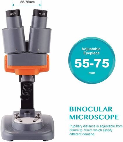 40X Binocular Stereo Microscope for PCB Solder Mineral Specimen Watching Kids Science Education Phone Repair Tool in Kuwait