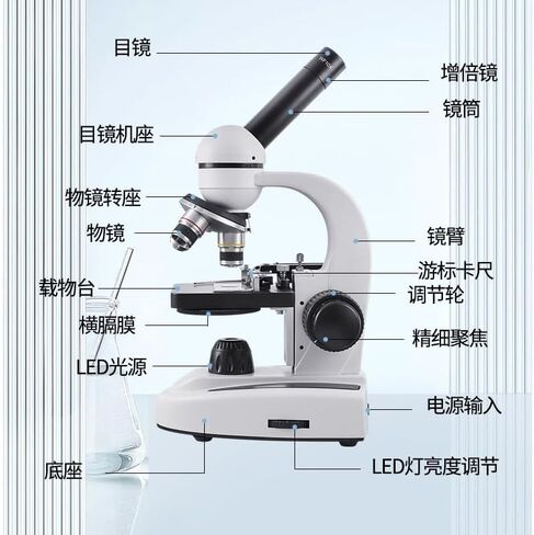 Microscope 2000x Monocular with Mobile Phone Clip On Glass Slide Optical in Kuwait