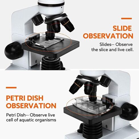 2500X Microscopes Biological Educational with Slides Set Phone Adapter in Kuwait