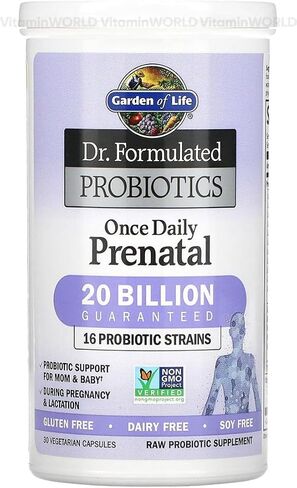 Garden of Life Dr. Formulated Probiotics Once Daily Prenatal - Acidophilus and Bifidobacteria Probiotic Support for Mom and Baby – Shelf Stable - Gluten, Dairy, and Soy-Free - 30 Vegetarian Capsules in Kuwait
