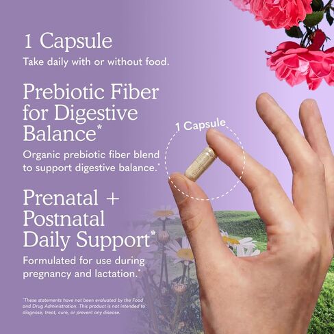 Garden of Life Dr. Formulated Probiotics Once Daily Prenatal - Acidophilus and Bifidobacteria Probiotic Support for Mom and Baby – Shelf Stable - Gluten, Dairy, and Soy-Free - 30 Vegetarian Capsules in Kuwait