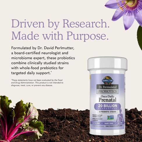Garden of Life Dr. Formulated Probiotics Once Daily Prenatal - Acidophilus and Bifidobacteria Probiotic Support for Mom and Baby – Shelf Stable - Gluten, Dairy, and Soy-Free - 30 Vegetarian Capsules in Kuwait
