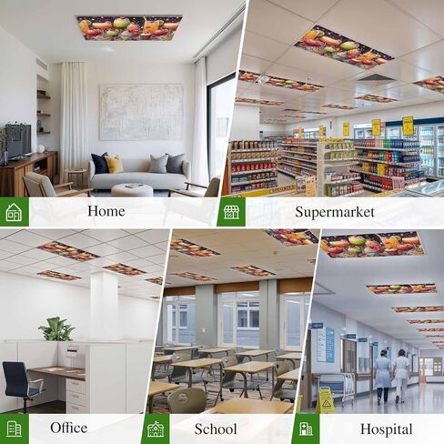Cartoon Cupcakes Magnetic Fluorescent Light Covers for Ceiling Lights 2x4 Ft, Funny Cute Food Starry Sky Pink Office Classroom Kitchen Drop Ceiling Light Covers Lighting Filters Shade Panel 2 Packs in Kuwait