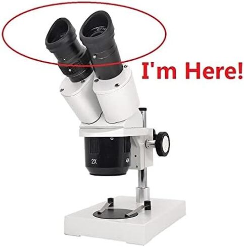 Microscope Observation Pair Wide Field Eyepiece Optical Lens, Diameter 30mm Or 30.5mm Rubber Eye Cups(WF20X-10-30.5mm) in Saudi Arabia