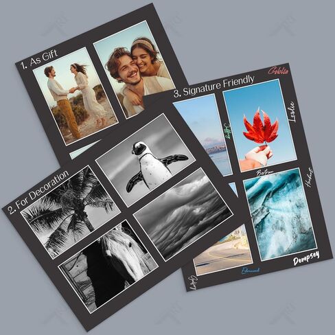Golden State Art, 5 Pack 12x16 Collage Mats for Four 5x7 Photos Black | Pre-Cut includ 4 4.5x6.5 Opening, Acid Free,White Core Bevel Cut 4-Ply Thick For Pictures Print Graduations and Art Display in Kuwait