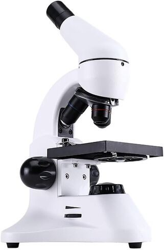 2000x Students Can Carry It with an Optical Microscope in Kuwait