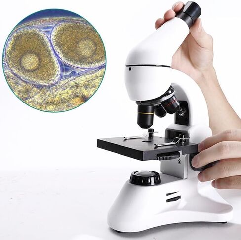 2000x Students Can Carry It with an Optical Microscope in Kuwait