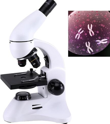 2000x Students Can Carry It with an Optical Microscope in Kuwait
