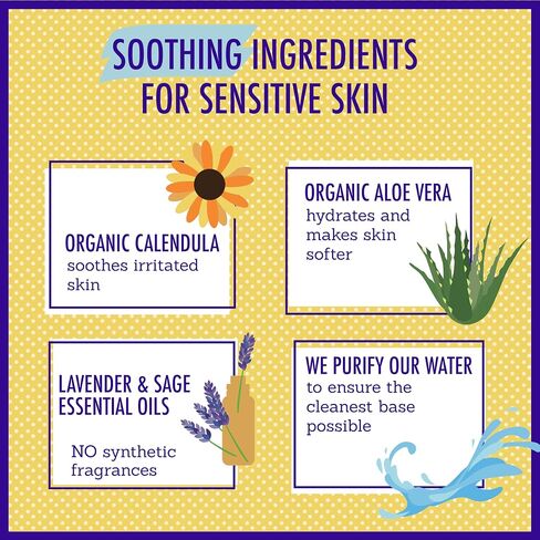 California Baby Aloe Vera & Arnica Cream | Soothing After Sun Lotion | 100% Plant-Based Sunburn Relief | Moisturizes Irritated Skin | 82 g / 2.9 oz. in Kuwait