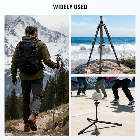 NEEWER Basics Carbon Fiber Travel Tripod Monopod, 64" Compact Lightweight Portable Camera Cell Phone Holder Stand Compatible with iPhone Video Recording, Arca Type Ball Head, Max Load 13.2 lbs, TP17B in Kuwait