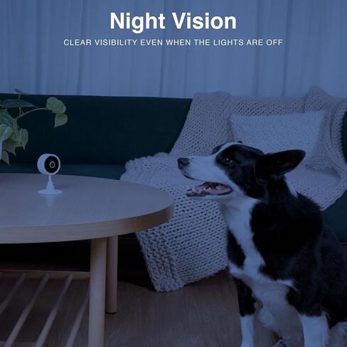 INSTACHEW Purrsight Mini HD Pet Camera, App- Enabled Indoor Mini Camera for Pet/Home Security Night Vision - Smart Security Camera with Motion Detection - Night Vision Camera, Video Recording | App-Enabled Indoor Mini Camera, Pet/Home Security, Night Visi in Saudi Arabia