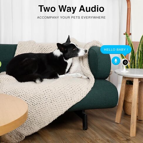 INSTACHEW Purrsight Mini HD Pet Camera, App- Enabled Indoor Mini Camera for Pet/Home Security Night Vision - Smart Security Camera with Motion Detection - Night Vision Camera, Video Recording | App-Enabled Indoor Mini Camera, Pet/Home Security, Night Visi in Saudi Arabia