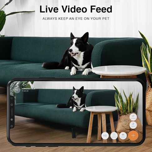 INSTACHEW Purrsight Mini HD Pet Camera, App- Enabled Indoor Mini Camera for Pet/Home Security Night Vision - Smart Security Camera with Motion Detection - Night Vision Camera, Video Recording | App-Enabled Indoor Mini Camera, Pet/Home Security, Night Visi in Saudi Arabia