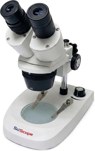 SciScope ES1 Elementary School Stereo Microscope, Binocular Microscope with 20X Magnification, WF10X Eyepieces, 2X Objective, Natural Light, 70mm Working Distance for Kids STEM Learning in Kuwait