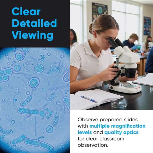 SciScope ES1 Elementary School Stereo Microscope, Binocular Microscope with 20X Magnification, WF10X Eyepieces, 2X Objective, Natural Light, 70mm Working Distance for Kids STEM Learning in Kuwait