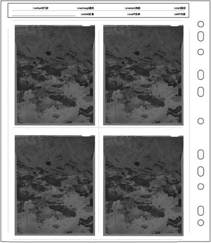 Archival Storage Sheets 135/120 / 45 Negativess Film Pages Negatives Folder Film Album Archival Sheets in Kuwait