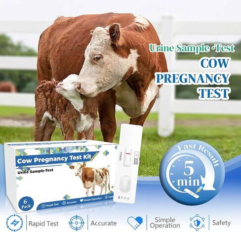 6-Pack Cow Pregnancy Test Kit - Early Urine Detection for Cattle, Get Fast 10-Minute Results, Essential Non-Invasive Monitoring Tool for Dairy Cows & Beef Herds in Kuwait