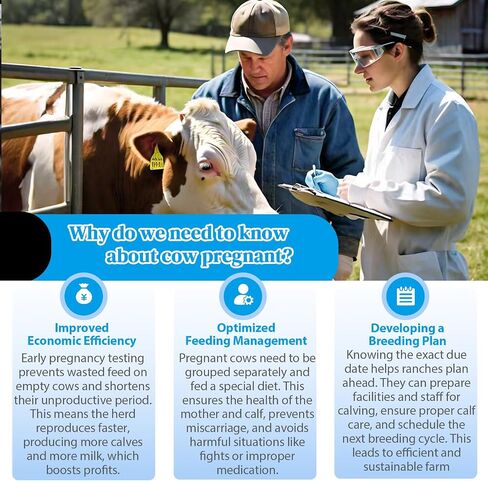 6-Pack Cow Pregnancy Test Kit - Early Urine Detection for Cattle, Get Fast 10-Minute Results, Essential Non-Invasive Monitoring Tool for Dairy Cows & Beef Herds in Kuwait