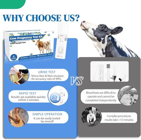 6-Pack Cow Pregnancy Test Kit - Early Urine Detection for Cattle, Get Fast 10-Minute Results, Essential Non-Invasive Monitoring Tool for Dairy Cows & Beef Herds in Kuwait