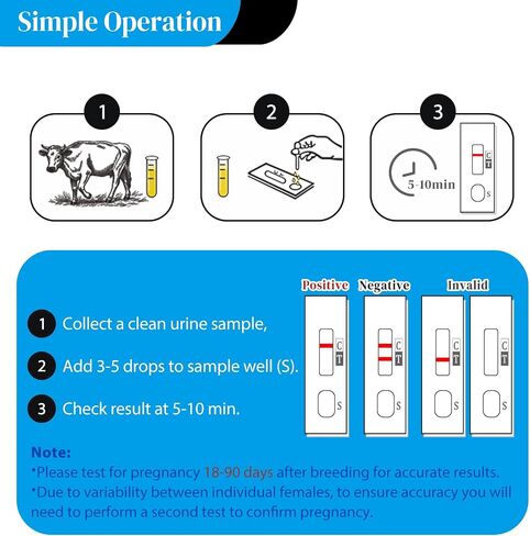 6-Pack Cow Pregnancy Test Kit - Early Urine Detection for Cattle, Get Fast 10-Minute Results, Essential Non-Invasive Monitoring Tool for Dairy Cows & Beef Herds in Kuwait