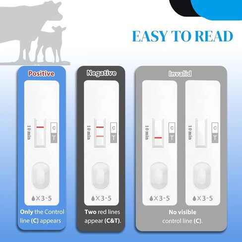 6-Pack Cow Pregnancy Test Kit - Early Urine Detection for Cattle, Get Fast 10-Minute Results, Essential Non-Invasive Monitoring Tool for Dairy Cows & Beef Herds in Kuwait
