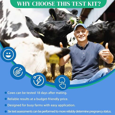 6-Pack Cow Pregnancy Test Kit - Early Urine Detection for Cattle, Get Fast 10-Minute Results, Essential Non-Invasive Monitoring Tool for Dairy Cows & Beef Herds in Kuwait