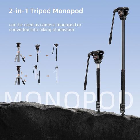 Cayer CF2451 Carbon Fiber Tripod, 75" Fluid Head 4-Section for DSLR | 4-Section Legs, Video Tripod Head, Converts To Monopod, 13.2 Lb Load, Dual-Mode Compatible Mount in Kuwait