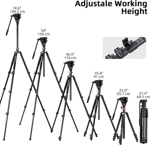 Cayer CF2451 Carbon Fiber Tripod, 75" Fluid Head 4-Section for DSLR | 4-Section Legs, Video Tripod Head, Converts To Monopod, 13.2 Lb Load, Dual-Mode Compatible Mount in Kuwait