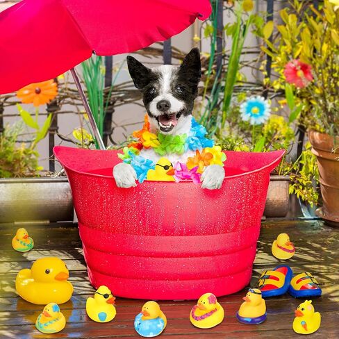 Honoson 36 Pcs Rubber Duck in Bulk Mini Toy Rubber Duck for Bath Birthday Gifts Shower Party Favors Decoration(Pool) in Kuwait