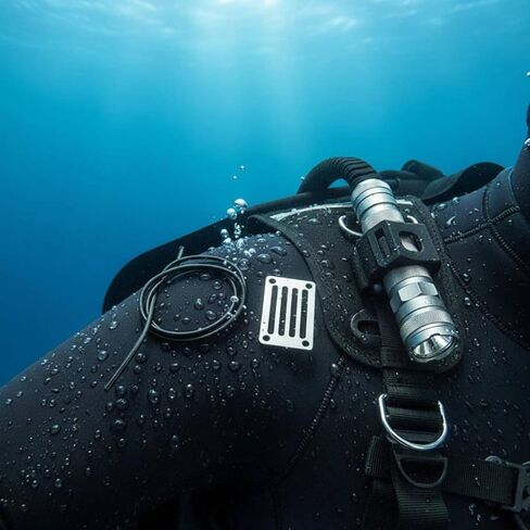 Diving Light Mount Holder Buckle Bracket Clip Stainless Steel Plate Elastic Cord Compact Design Lightweight Build Suitable for Recreational Diving cave Diving Wreck Diving in Kuwait