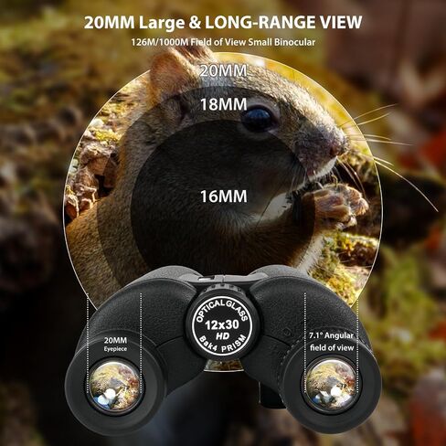 2026 New HD Small 12X30 Compact Binoculars with Phone Adapter BAK4 Prism FMC Lens, High Powered Small Lightweight Binoculars for Kids&Adults Bird Watching,Outdoor,Wildlife,Sports,Travel-Black in Kuwait
