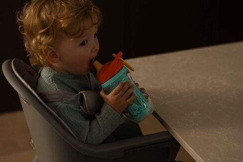 Nuby Active Sipper Insulated Toddler Cup with No-Spill Vari-Flo Valve - (2 Pack) 9 oz - Easy Grip Design with Carabiner Clip - 18+ Months - Boy in Kuwait