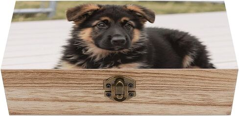 German Shepherd Puppies Wooden Storage Box with Hinged Lid for Photo | Wood Keepsake Box, Dustproof Storage Box, Decorative Treasure Chest, Memory Box for Crafts Coins Stamps Letters Jewelry in Kuwait