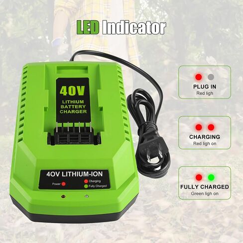40V Charger Replacement for Greenworks 40V Battery Charger 29482 Compatible with Batteries 29462 29472 in Kuwait