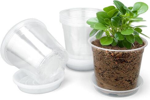 7/6/5/4/3 Inch Clear Nursery Pots with Drainage Trays, 25 Pack Plastic Pots for Plants, Clear Pot for Seed Starting, Transplanting, Succulents, and Indoor Gardening (3+4+5+6+7 inch) in Kuwait
