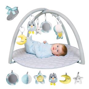 Solens Baby Play Gym Mat with 5 Detachable Sensory Toys, Tummy Time Activity Mat for Sensory & Motor Skill Development, Infant Activity Gym, Newborn Baby Shower Gift, Dusky Blue in Kuwait