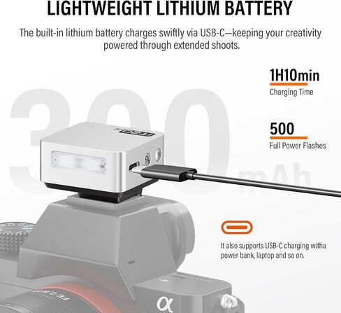 Godox iT20 S iT20-S TTL Flash for Sony (Silver) in Kuwait